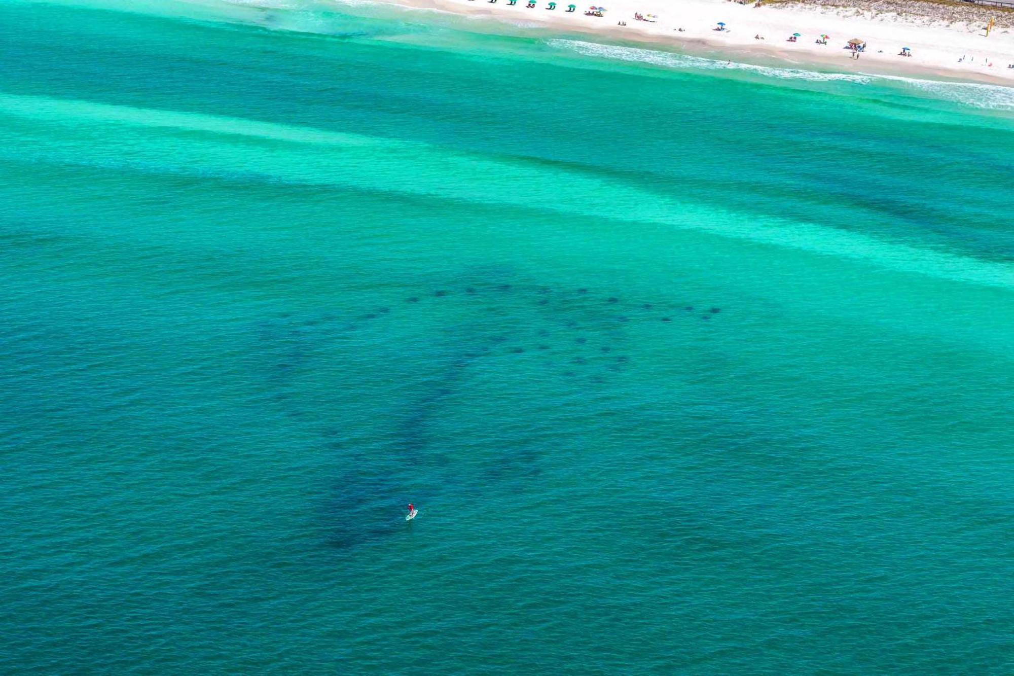 Beach Resort 310 Destin Exteriér fotografie